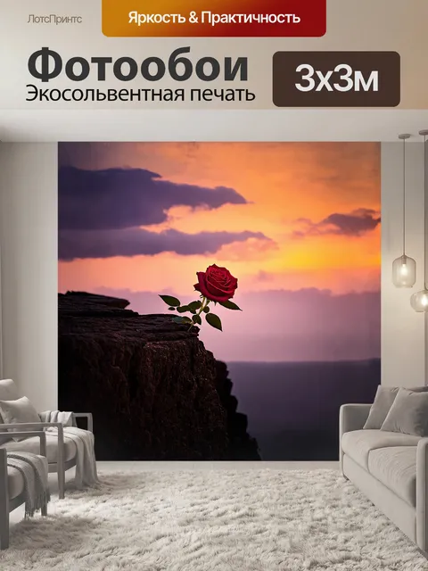 Фотообои одинокая роза, растущая на краю утеса, наслаждается зрелищем заката