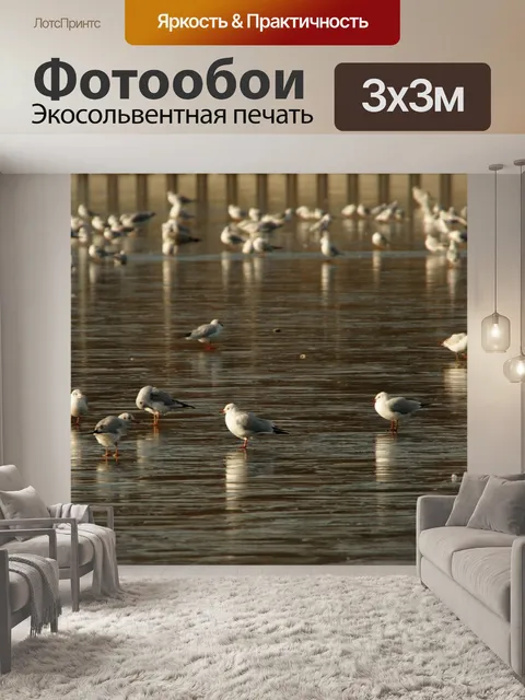 Фотообои Ледяное озеро с замерзшими чайками