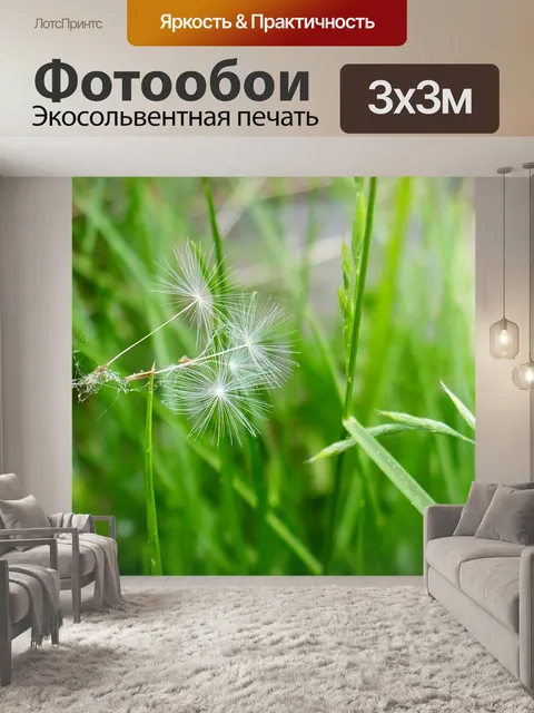 Фотообои Одуванчик