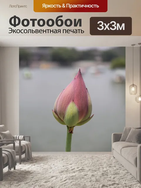 Фотообои Цветок