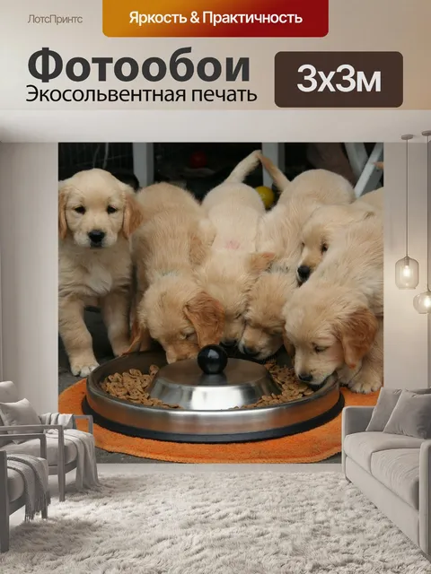 Фотообои Золотой ретривер щенка