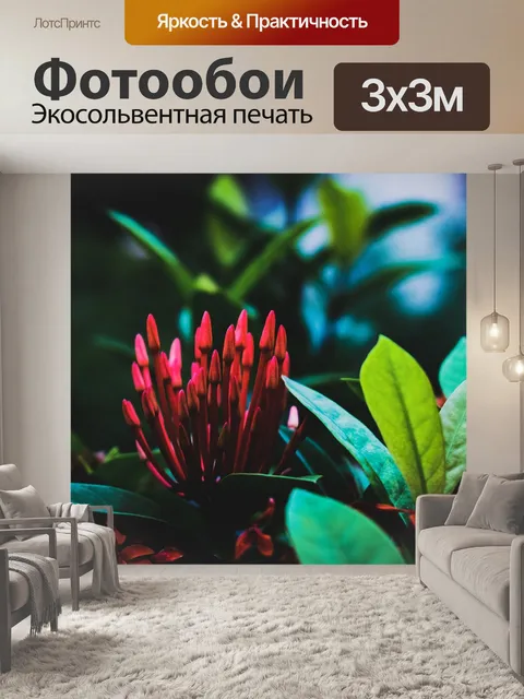 Фотообои Цветы