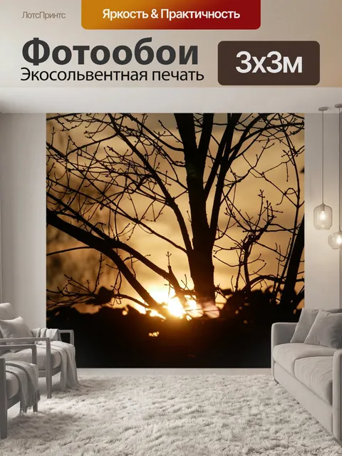 Фотообои Восход солнца