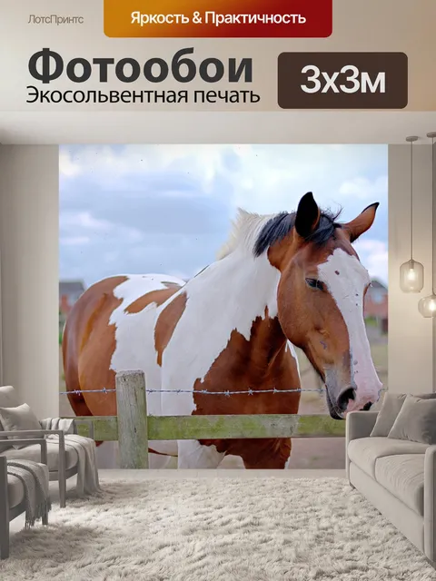 Фотообои Лошадь