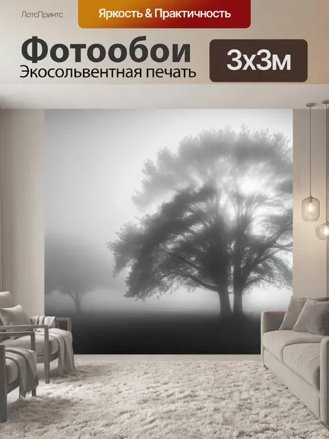 Фотообои пейзаж с туманом фото чернобелый