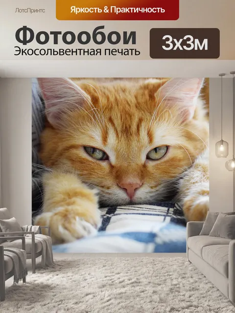 Фотообои Кошка