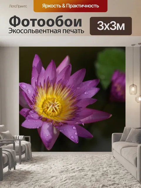 Фотообои Цветы