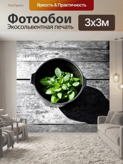 Фотообои вертящееся кастрюля с свежими листьями мяты перечной на фоне старинного деревянного стола