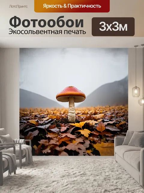 Фотообои на фоне туманной горной тундры