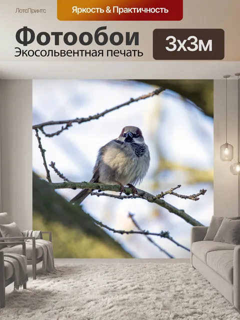 Фотообои Деревенский воробей Прохожий montanus