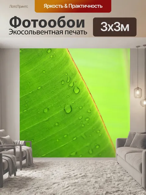 Фотообои Зеленый лист банан
