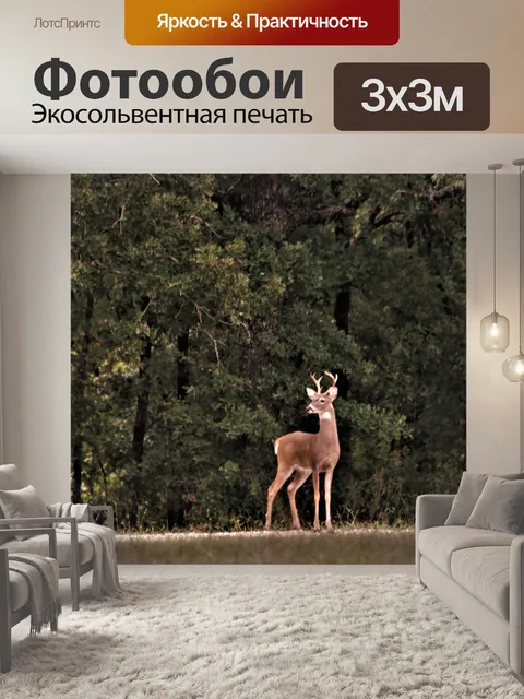 Фотообои Белый хвост Бак