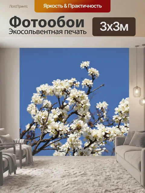 Фотообои Весна