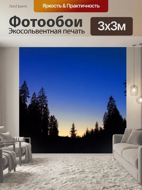 Фотообои Силуэт