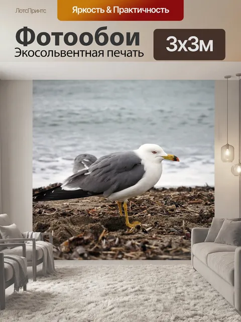 Фотообои Животное