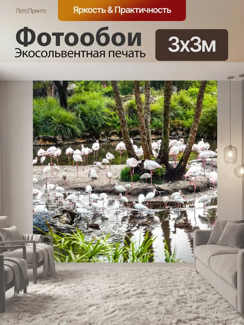 Фотообои Птица