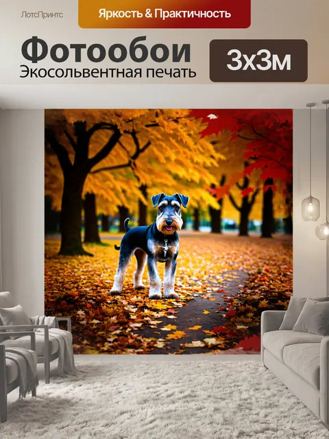 Фотообои шнауцер, довольный, позирующий на фоне осеннего парка, окружённого золотыми и красными листьями