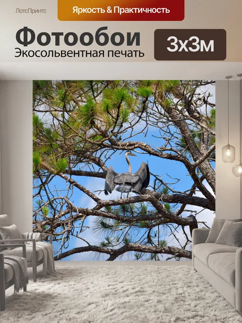 Фотообои Голубая цапля