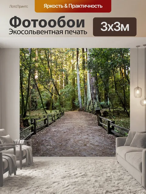 Фотообои Путь