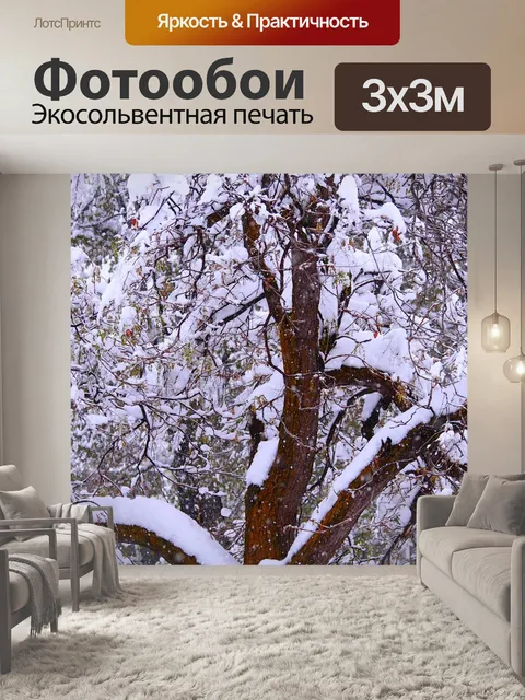 Фотообои Дерево