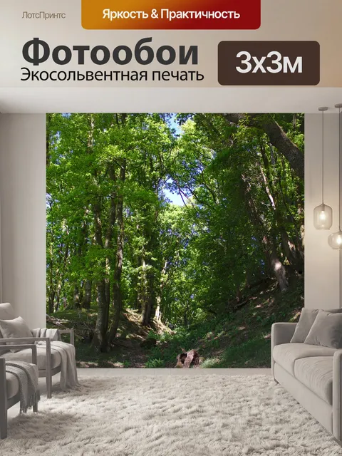 Фотообои Лес