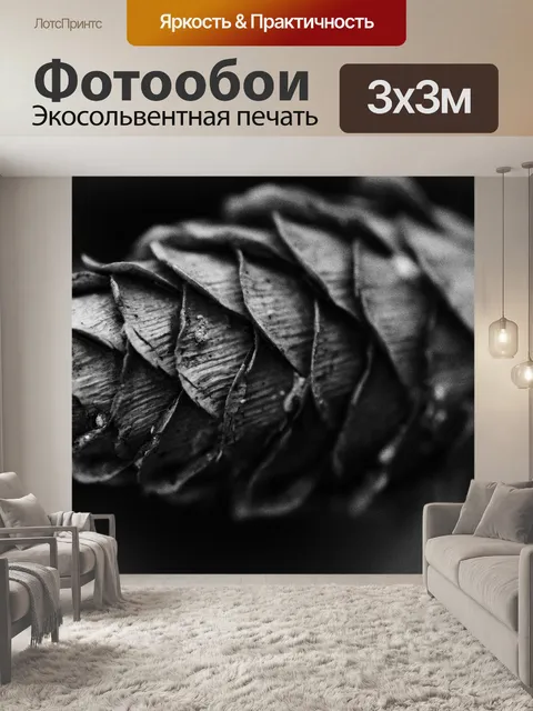 Фотообои Черное и белое