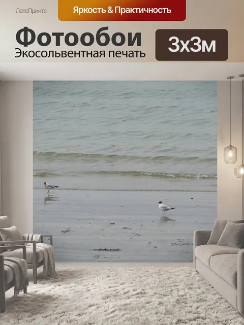 Фотообои Пара чаек