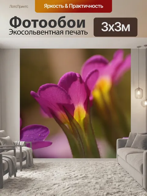 Фотообои Цветы