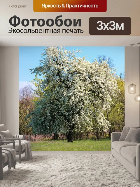 Фотообои Дерево