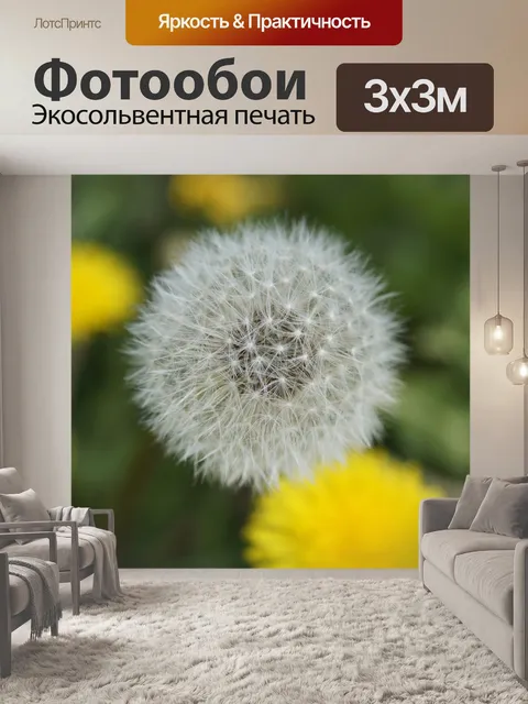 Фотообои Одуванчик