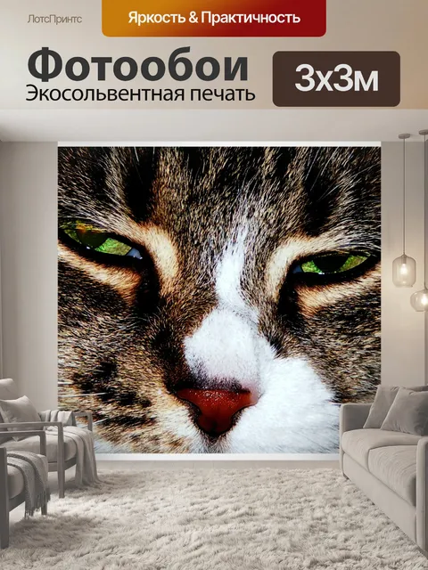 Фотообои Кошка