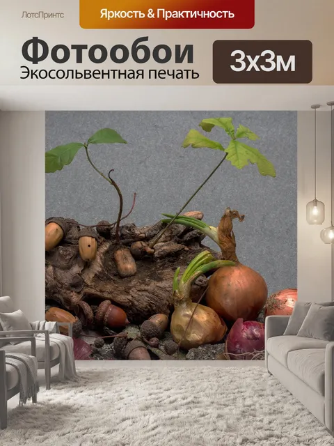 Фотообои Желуди