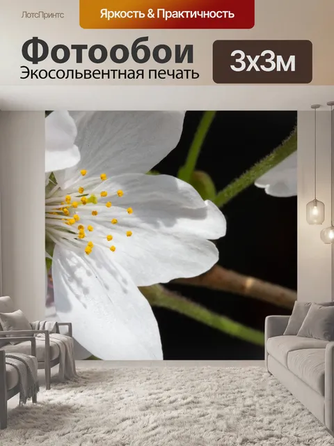 Фотообои Цветы