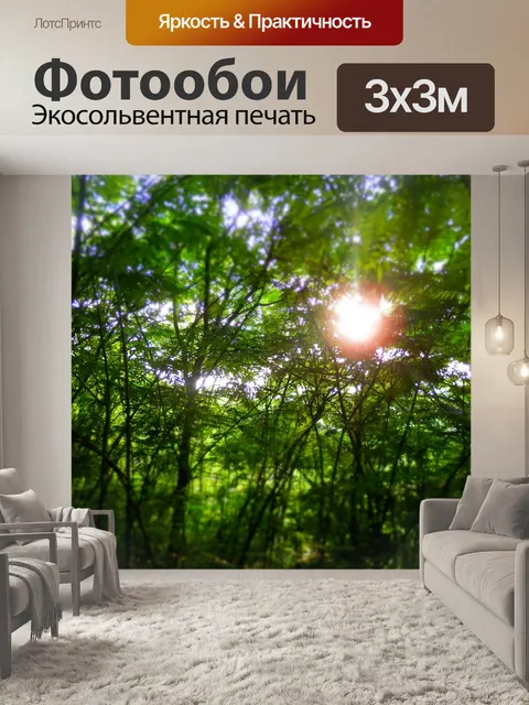Фотообои Деревья