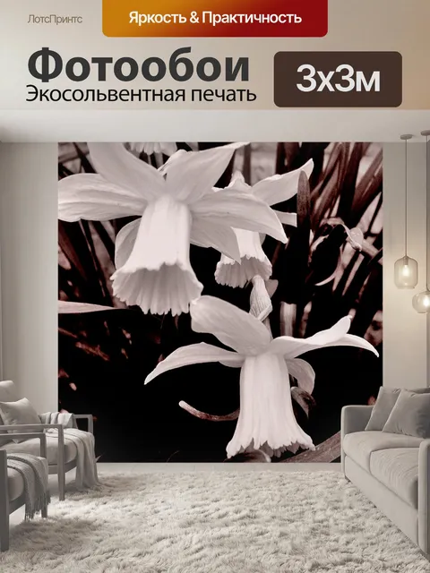Фотообои Нарциссы