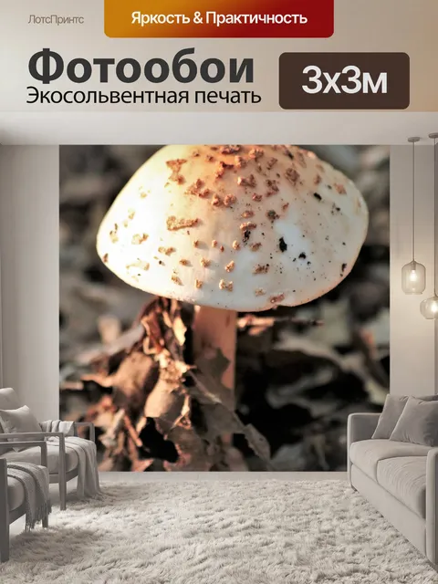 Фотообои Золотой гриб Аманита