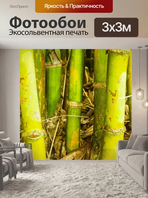 Фотообои Бамбуковый лес природа фон