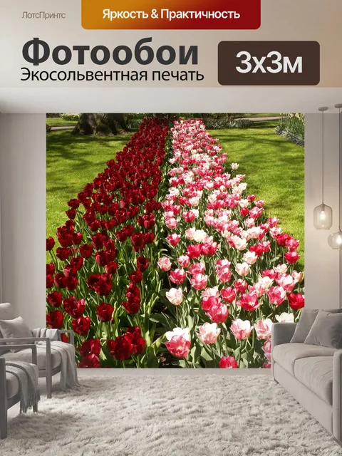 Фотообои Тюльпаны