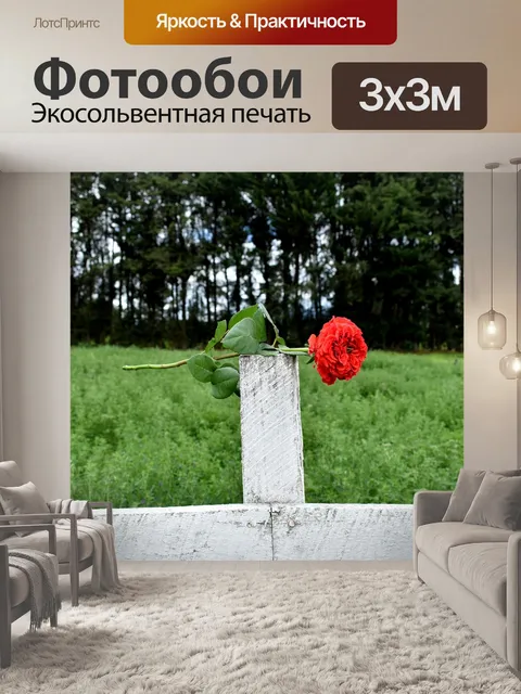 Фотообои Роза