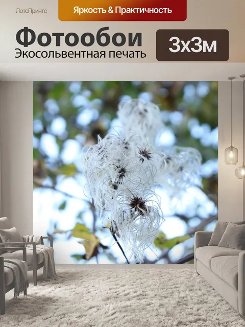 Фотообои Белый