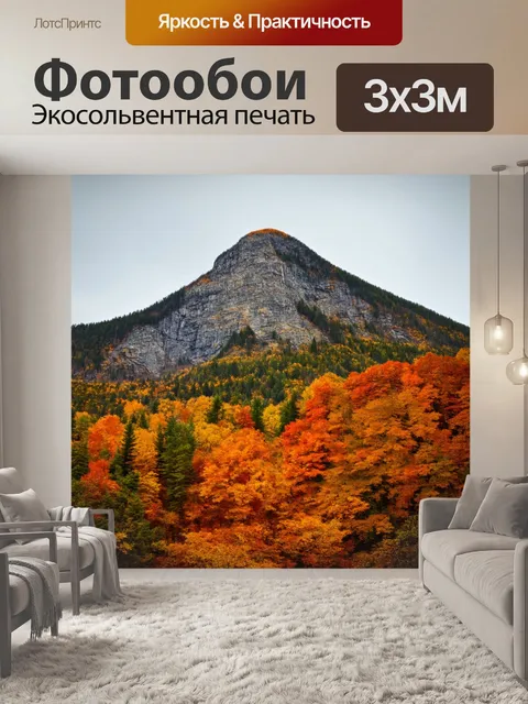 Фотообои гора с осенним лесом внизу, где листья терпимо опадают