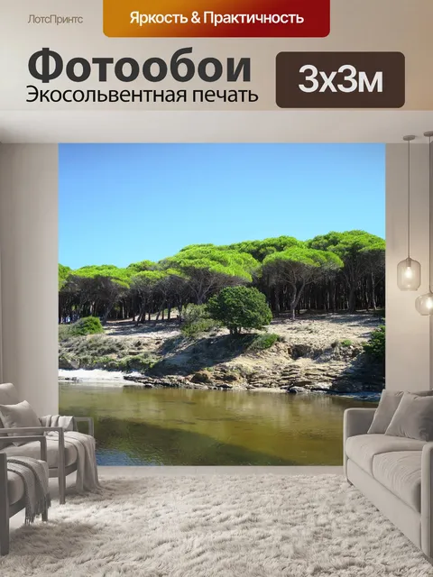 Фотообои Сосновый лес