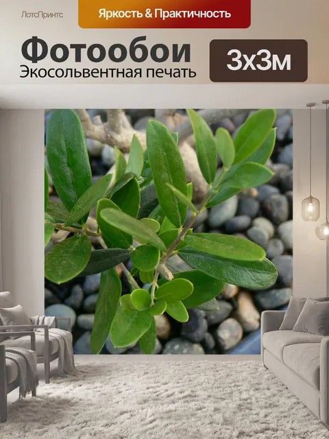 Фотообои Листья