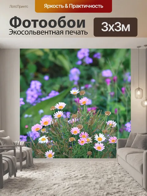 Фотообои розовые маргаритки и фиолетовый вербена