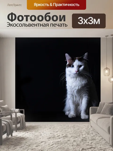 Фотообои Кошка