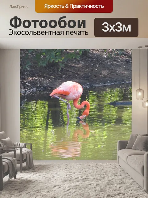 Фотообои Waterbird