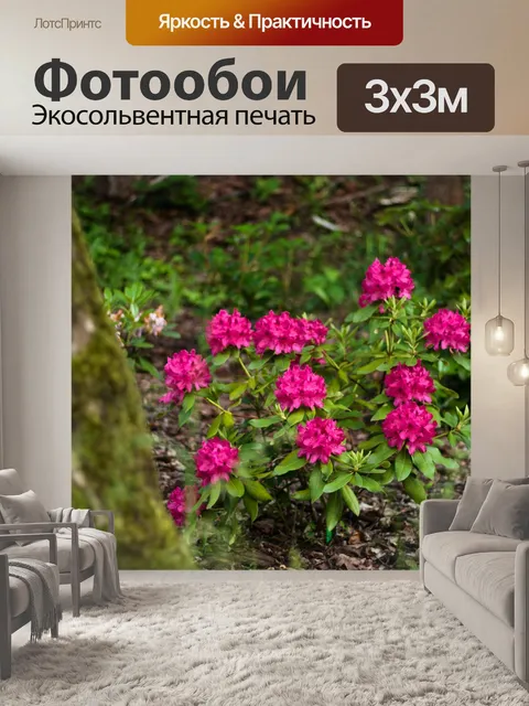 Фотообои Цветы