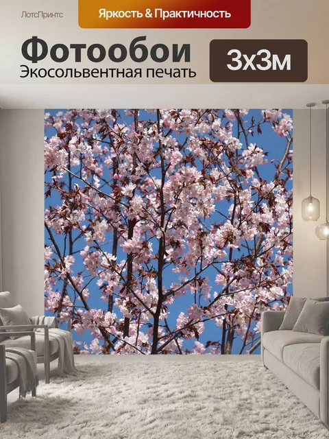 Фотообои Сакура