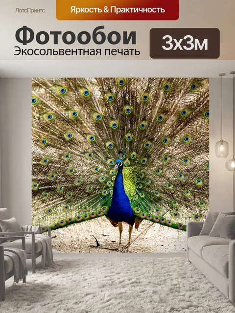 Фотообои Птица