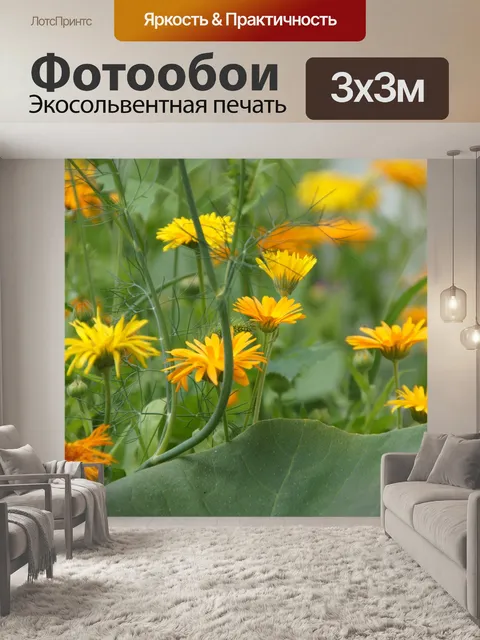 Фотообои Бархатцы сад цветет апельсин